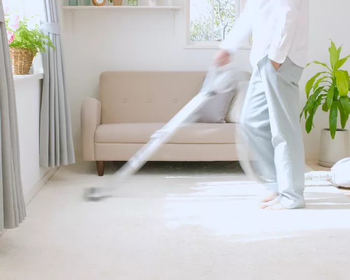 steam clean your carpets